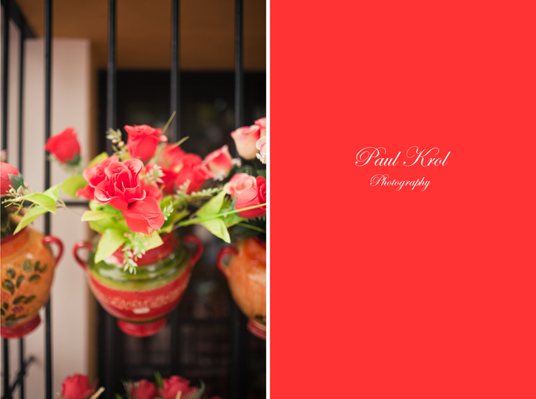 IMG_7346_10