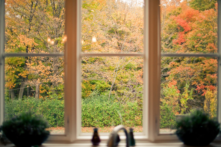 Wedding Photographer Toronto : view out of the kitchen window