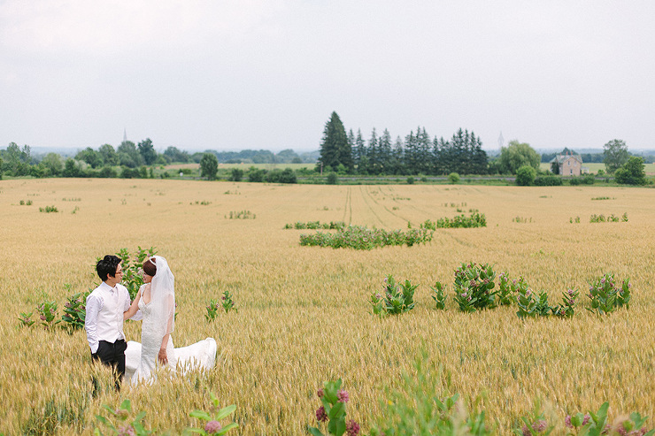 Toronto Wedding Photographer - portrait in a wheat field