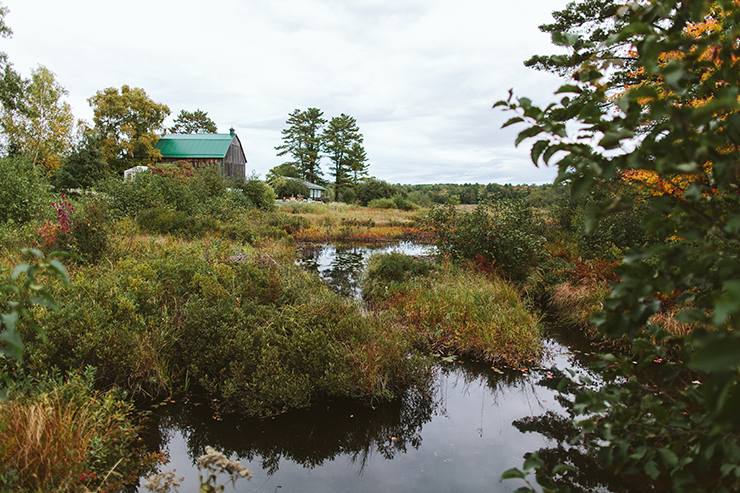 brooklands-farm-bracebridge-wedding-photography