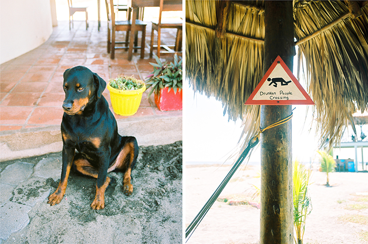 Chico and Drunken People Crossing Sign at Surfing Turtle Lodge in Nicaragua