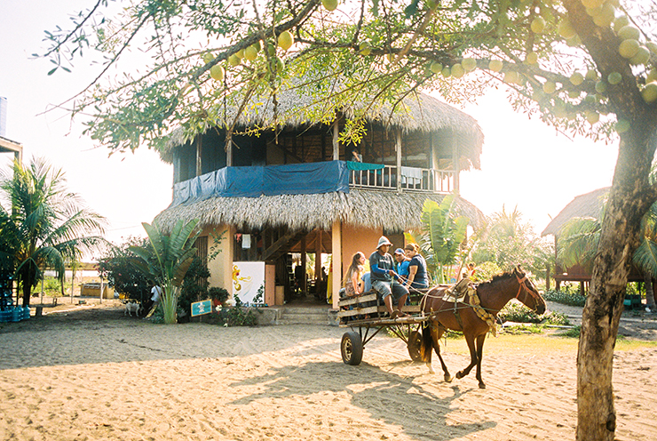 Guests Leaving Surfing Turtle Lodge by horse carriage