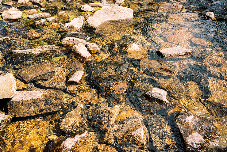 Rocks in a Stream Portra 400 film The Find Lab