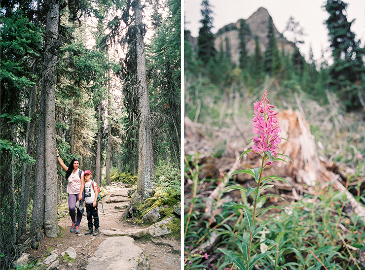 Saddle Mountain Trail in Alberta Contax G2 Fuji 400H film The Find Lab